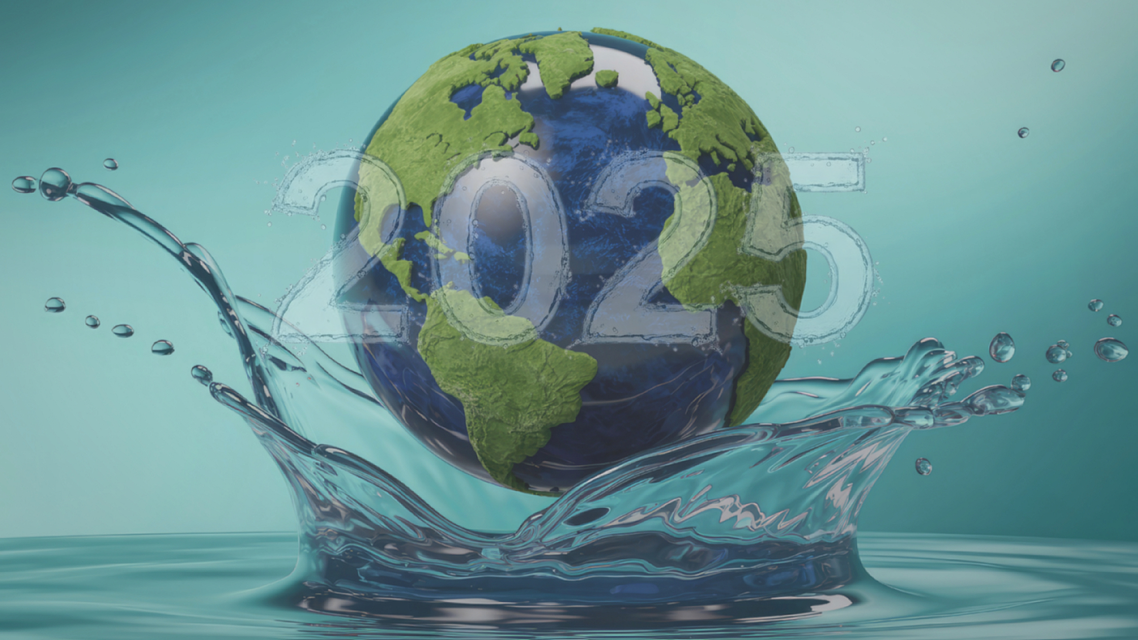 Shayp 2025 : une année marquante