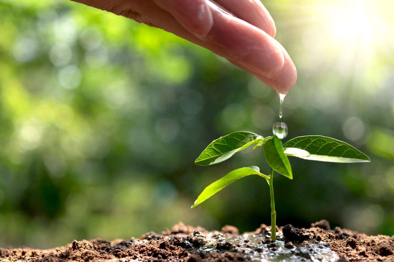 Tips and tricks to increase your building’s water efficiency